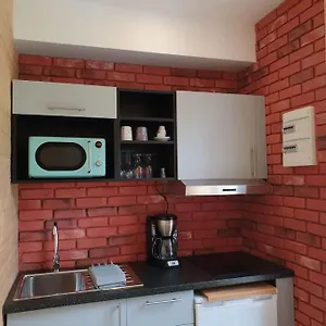 Les Iris Veranda Parcking Appartement Le Mont-Dore